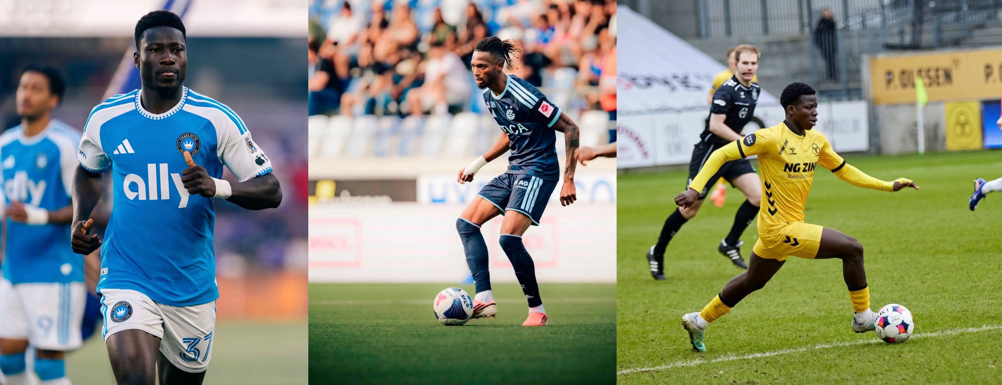 Trois Guépards en action le week-end dernier.